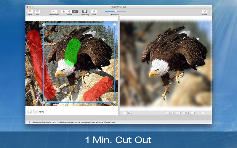 how to remove the background of a picture on mac