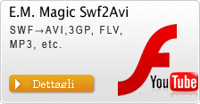 E.M. Magic Swf2Avi